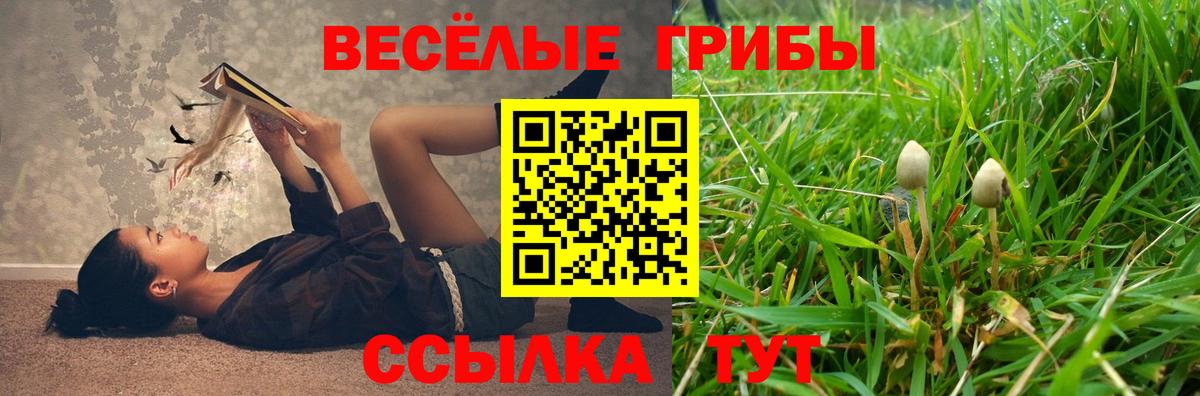 Псилоцибиновые грибы Magic Shrooms Избербаш