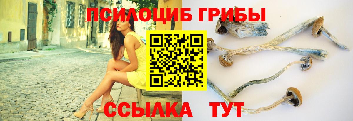 Избербаш  Галлюциногенные грибы мухоморы  Псилоцибиновые грибы GOLDEN TEACHER  Вход с VPN 
